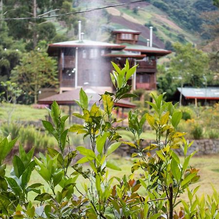 Los Quetzales Ecolodge & Spa Cerro Punta Ngoại thất bức ảnh