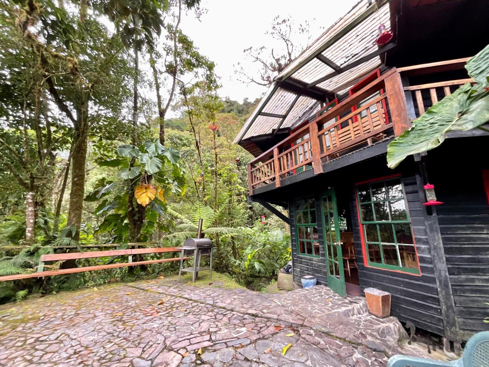 Los Quetzales Ecolodge & Spa Cerro Punta Ngoại thất bức ảnh