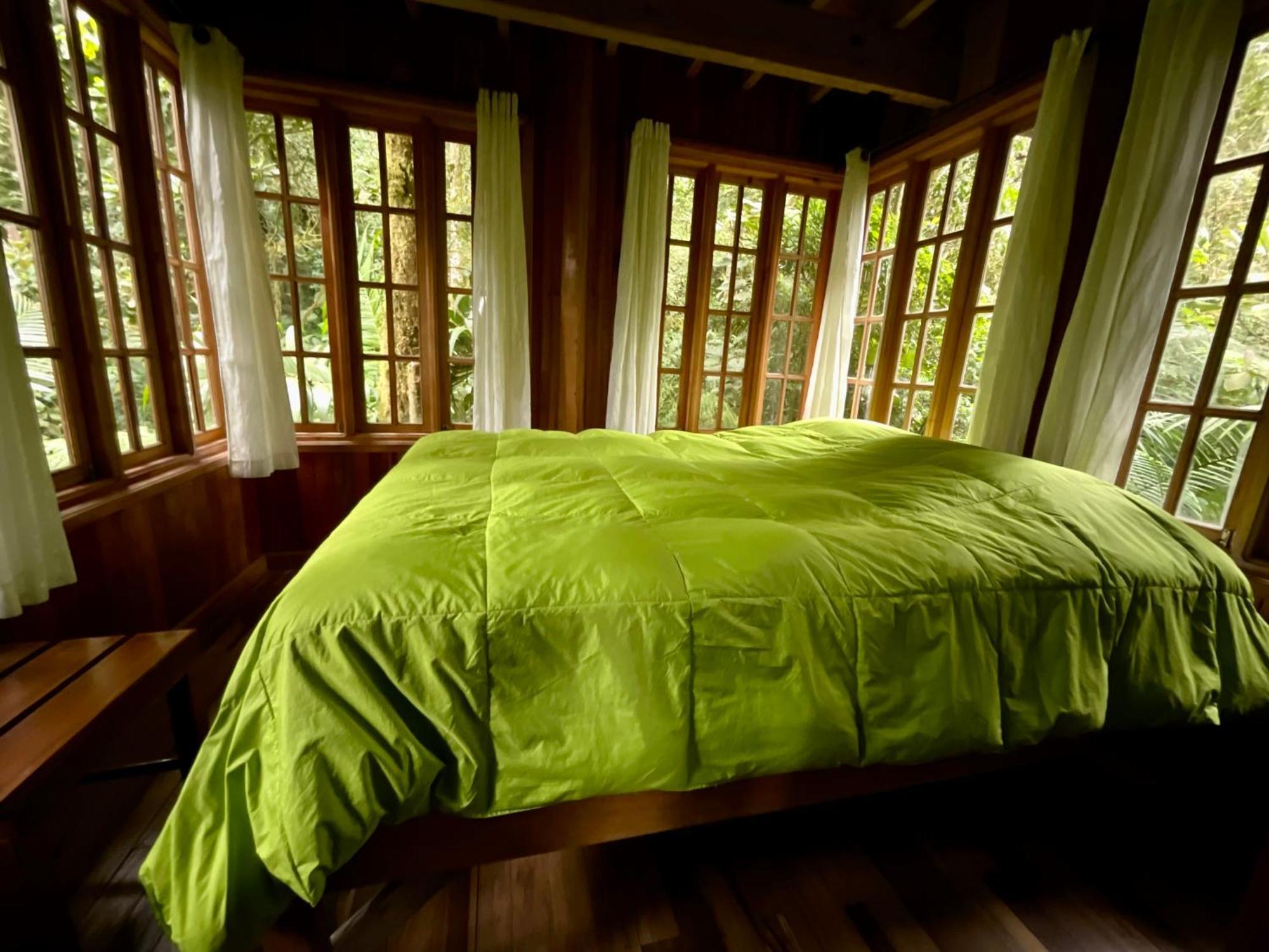 Los Quetzales Ecolodge & Spa Cerro Punta Ngoại thất bức ảnh