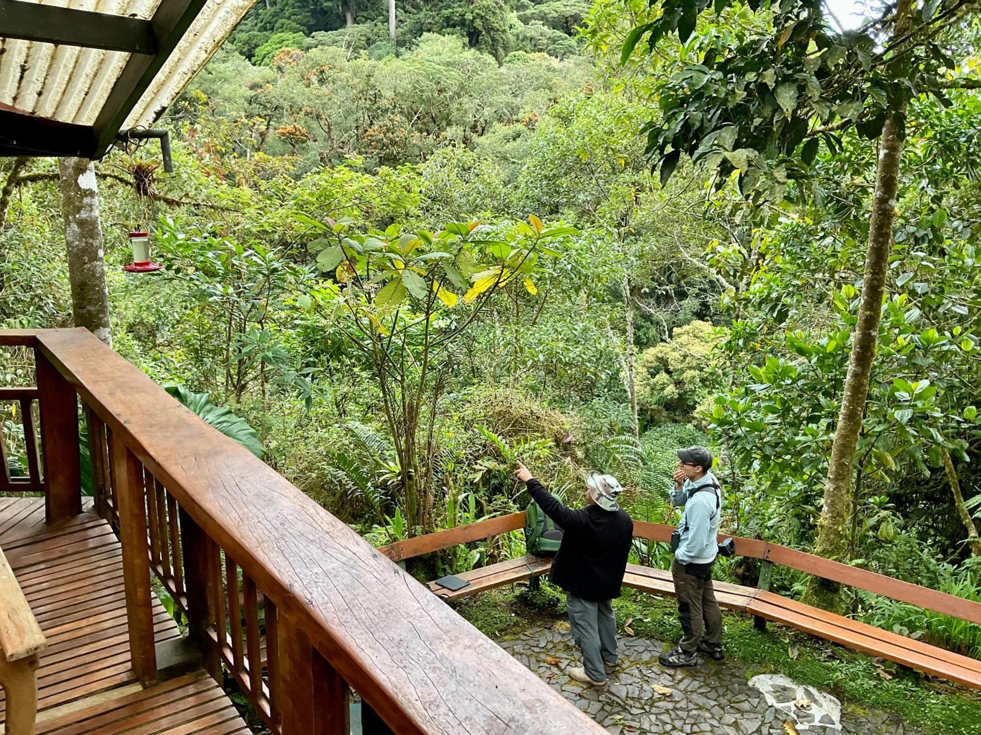 Los Quetzales Ecolodge & Spa Cerro Punta Ngoại thất bức ảnh