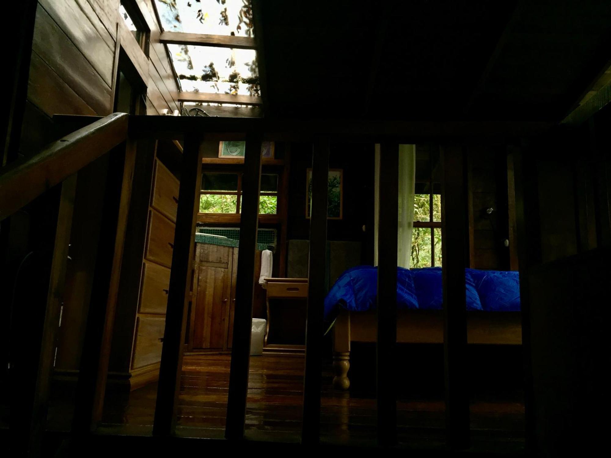 Los Quetzales Ecolodge & Spa Cerro Punta Ngoại thất bức ảnh