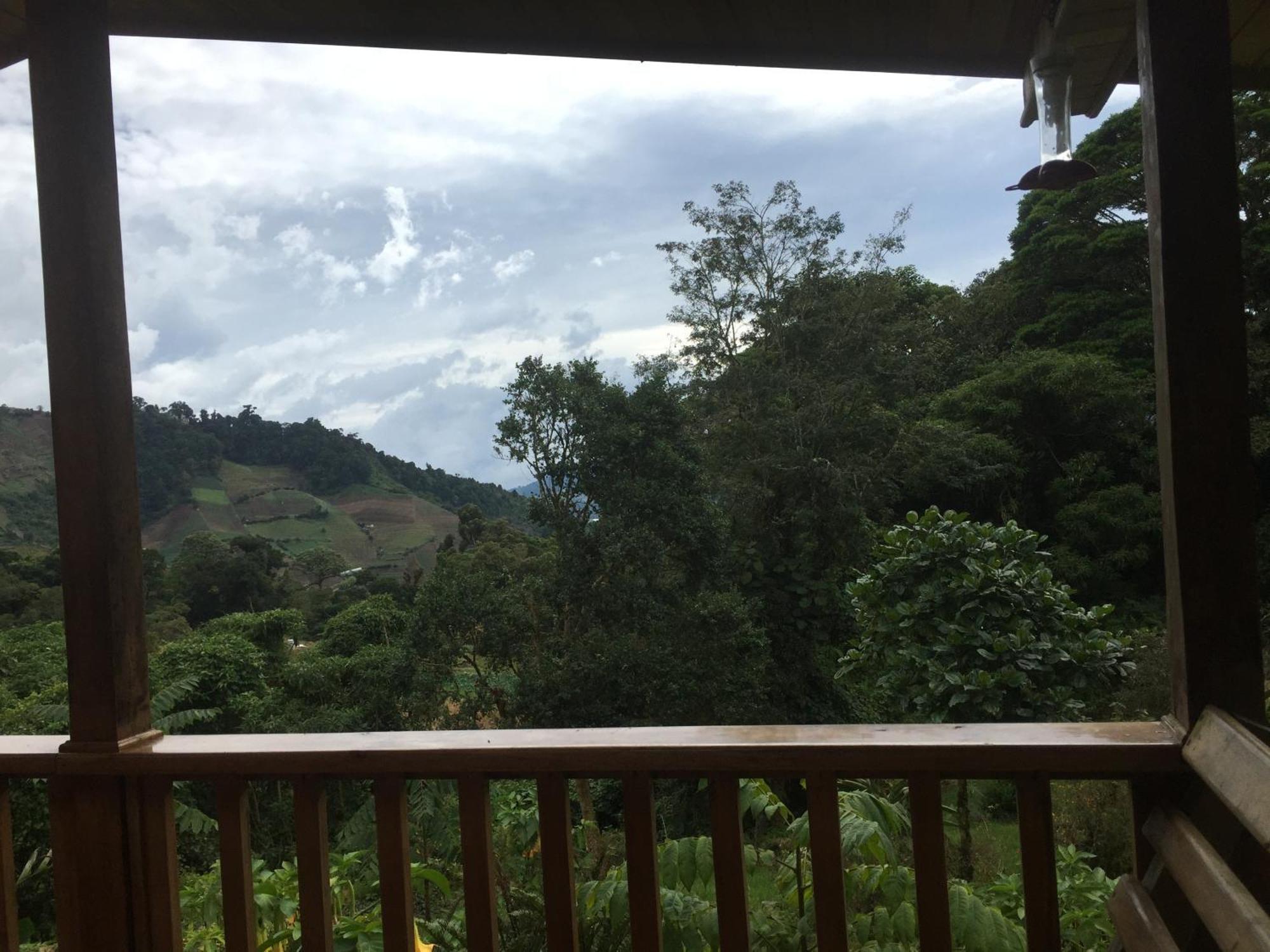 Los Quetzales Ecolodge & Spa Cerro Punta Ngoại thất bức ảnh