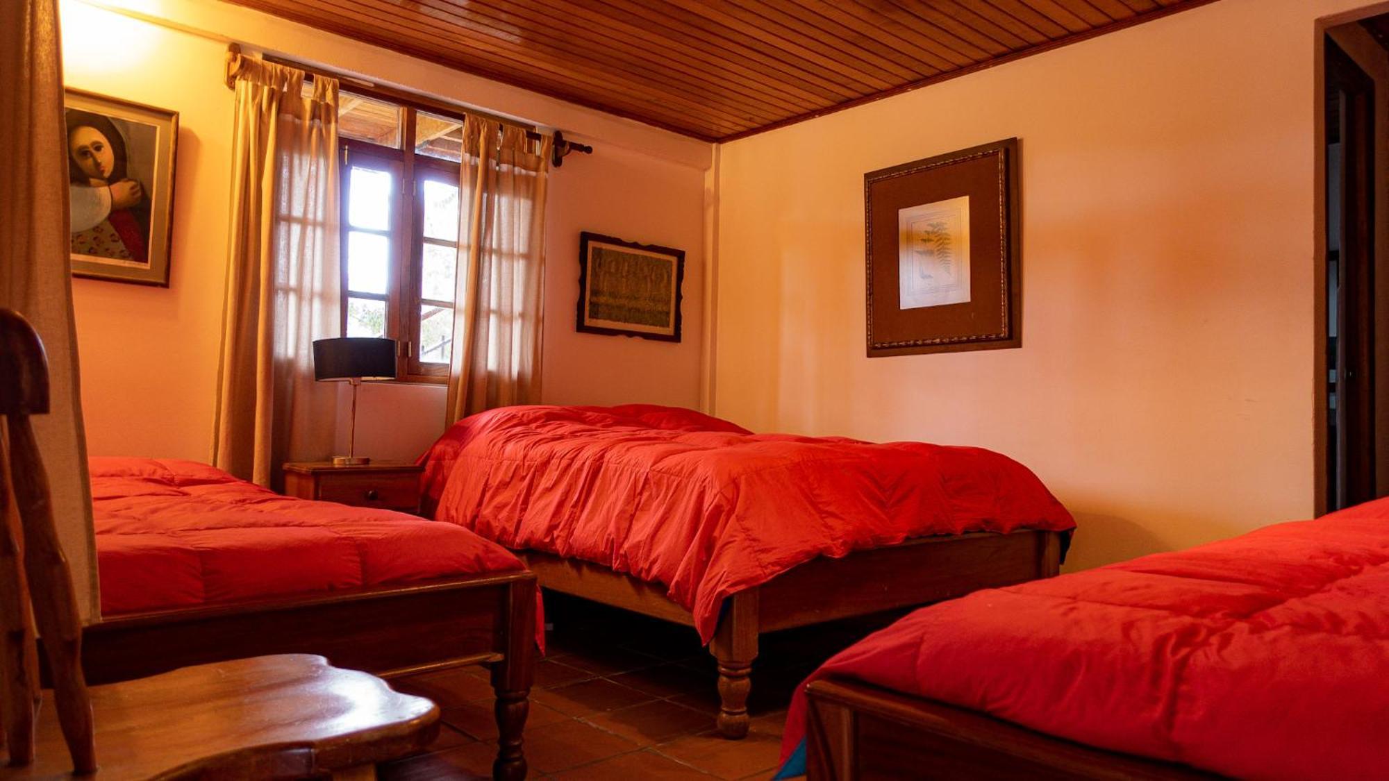 Los Quetzales Ecolodge & Spa Cerro Punta Ngoại thất bức ảnh