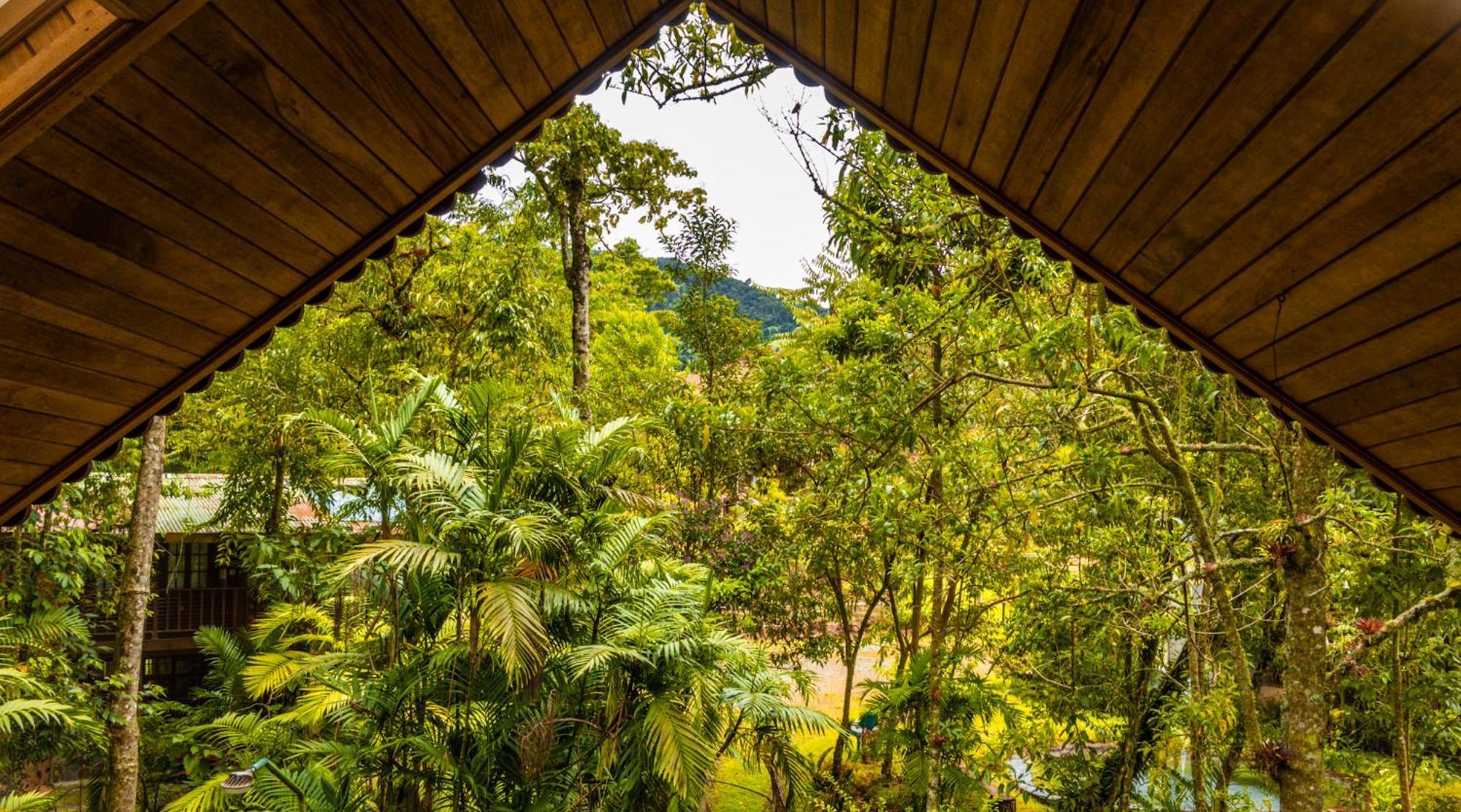 Los Quetzales Ecolodge & Spa Cerro Punta Ngoại thất bức ảnh