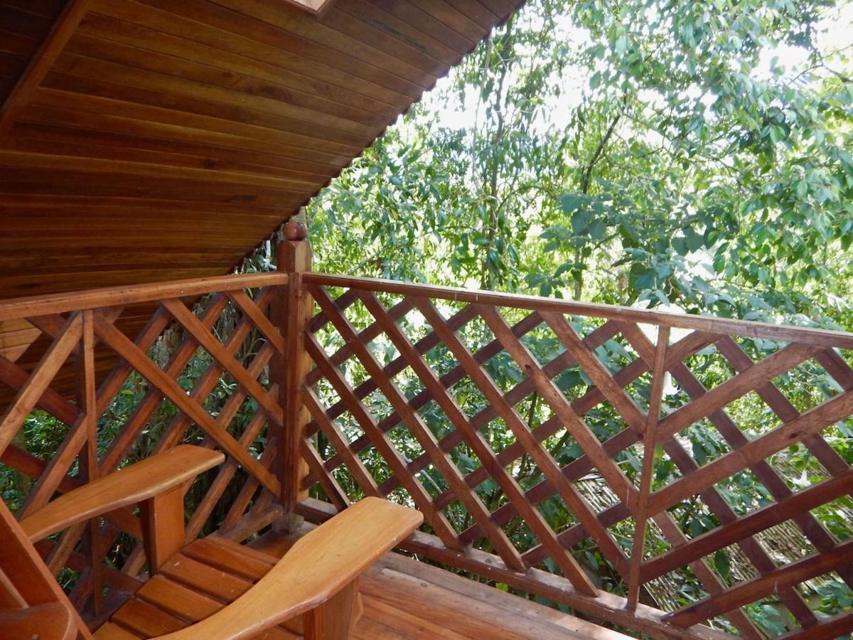 Los Quetzales Ecolodge & Spa Cerro Punta Ngoại thất bức ảnh